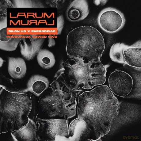 Larum: Mural [CD]