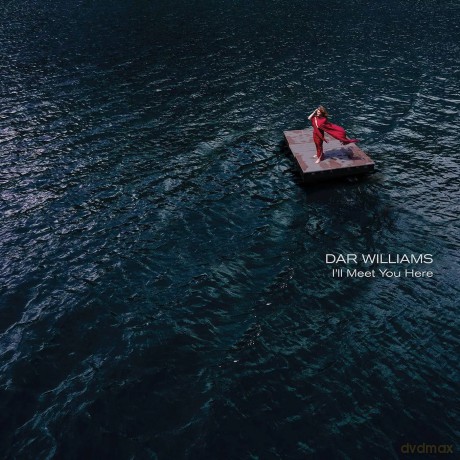 Dar Williams: I'll Meet You Here [Winyl]