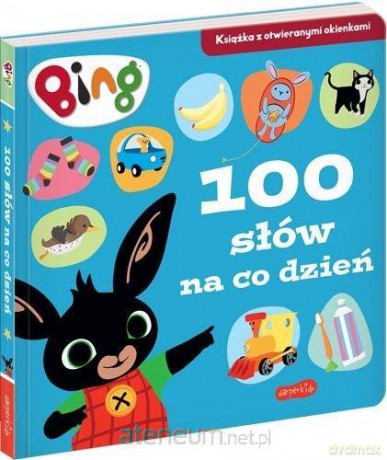 100 słów na co dzień. Bing [KSIĄŻKA]
