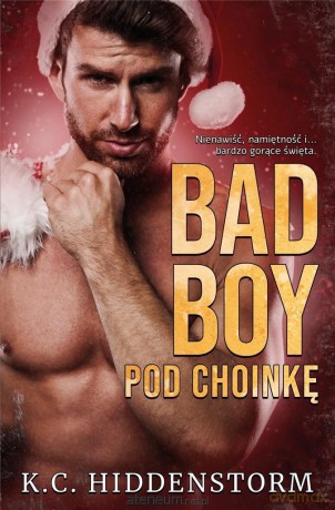 Bad Boy pod choinkę - K.C. Hiddenstorm [KSIĄŻKA]