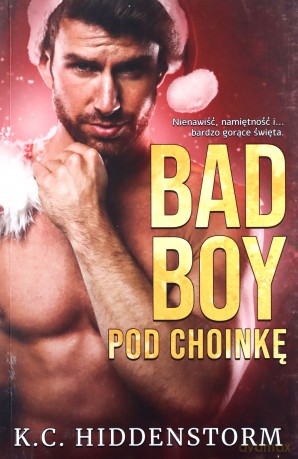 Bad Boy pod choinkę - K.C. Hiddenstorm [KSIĄŻKA]