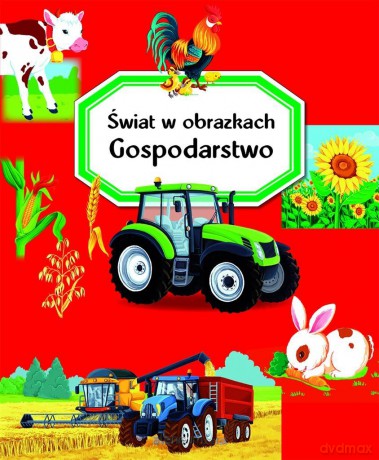 Gospodarstwo. Świat w obrazkach - Emilie Beaumont [KSIĄŻKA]