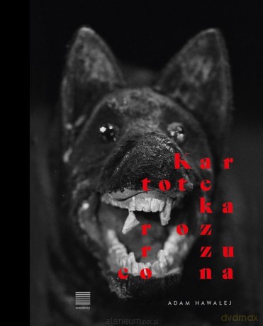 Kartoteka rozrzucona - Adam Hawałej [KSIĄŻKA]