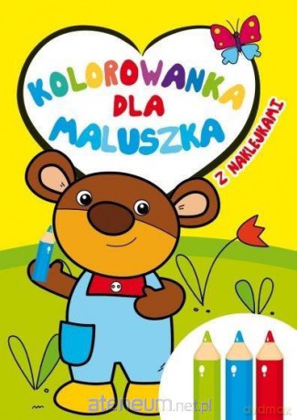 Kolorowanka dla maluszka z naklejkami - Ilona Brydak [KSIĄŻKA]