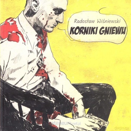 Kroniki gniewu - Radosław Wiśniewski [KSIĄŻKA]