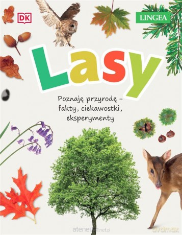 Lasy - Ambrose Jamie [KSIĄŻKA]