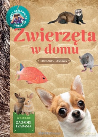 Młody Obserwator Przyrody. Zwierzęta w domu - Izabela Brańska-Oleksy [KSIĄŻKA]