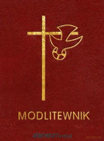 Modlitewnik - Panie, naucz nas modlić się [KSIĄŻKA]