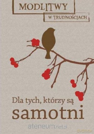 Modlitwy w trudnościach. Dla tych, którzy są [KSIĄŻKA]