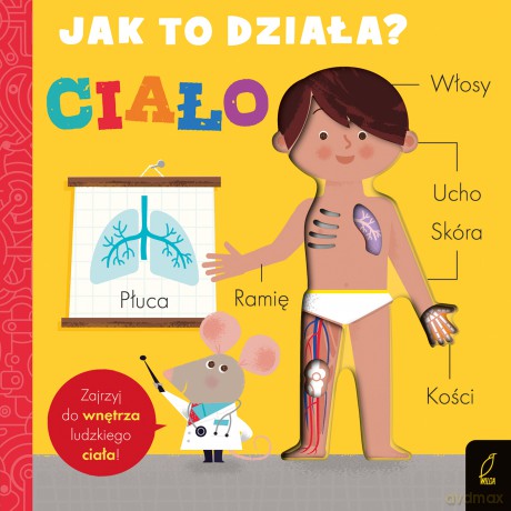 Jak to działa. Ciało - Amelia Hepworth [KSIĄŻKA]