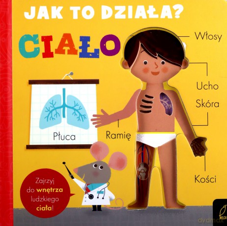 Jak to działa. Ciało - Amelia Hepworth [KSIĄŻKA]