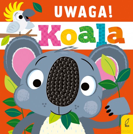 Uwaga, koala! [KSIĄŻKA]