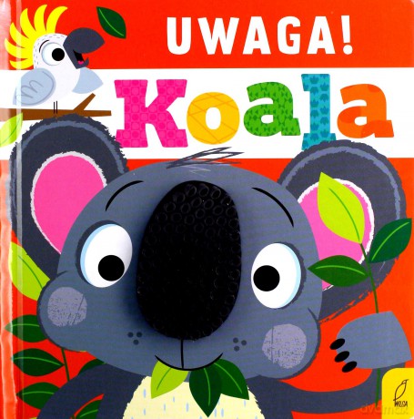 Uwaga, koala! [KSIĄŻKA]