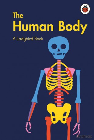 A Ladybird Book: The Human Body - Elizabeth Jenner [KSIĄŻKA]