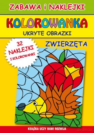 Kolorowanka ukryte obrazki [KSIĄŻKA]