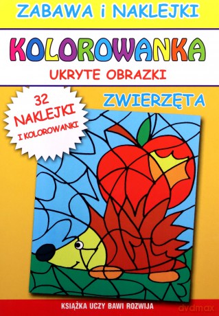 Kolorowanka ukryte obrazki [KSIĄŻKA]