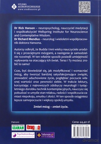 Mózg Buddy - Mendius Richard, Hanson Rick [KSIĄŻKA]