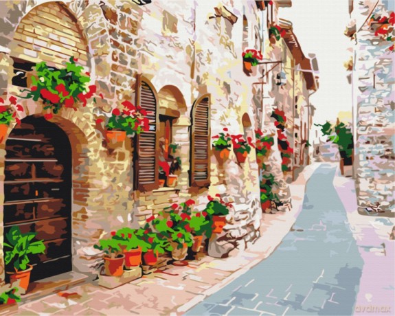 Obraz Paint it! Malowanie po numerach. Kwiatowa ulica