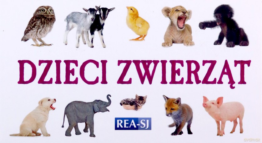 Dzieci zwierząt - rozkładanka [KSIĄŻKA]