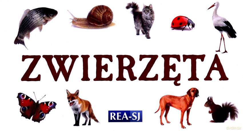 Zwierzęta - rozkładanka [KSIĄŻKA]