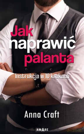 Jak naprawić palanta. Instrukcja w dziesięciu krokach - Anna Craft [KSIĄŻKA]