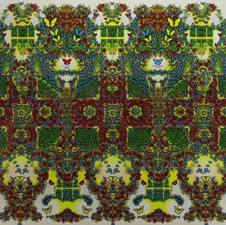 King Gizzard: Butterfly 3000 (Random Coloured) [Winyl]