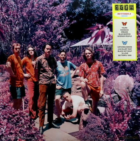 King Gizzard: Butterfly 3000 (Random Coloured) [Winyl]