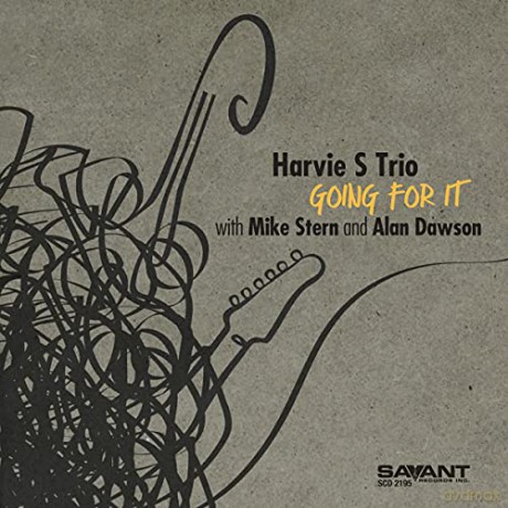 Harvie S Trio: Going For It [CD]