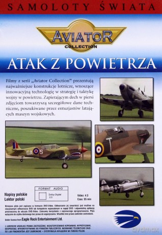 Wielka Encyklopedia Lotnictwa 14: AIRSTRIKE - Myśliwce II wojny światowej [DVD]