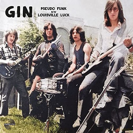 Gin: Pseudo Funk [Winyl]
