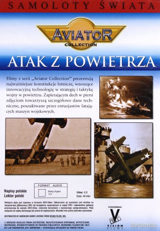 Wielka Encyklopedia Lotnictwa 16: AIRSTRIKE - Pechowe dni - Katastrofy lotnicze [DVD]