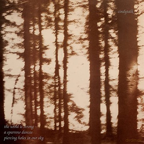 Cindytalk: The Wind Is Strong... [CD]