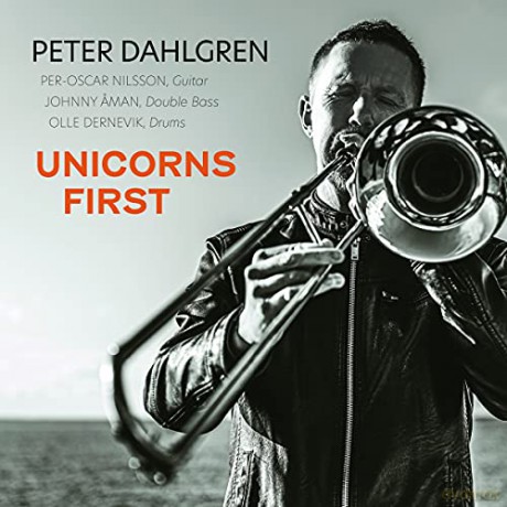Peter Dahlgren: Unicorns First [CD]