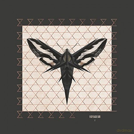 Enigma: Voyageur [Winyl]