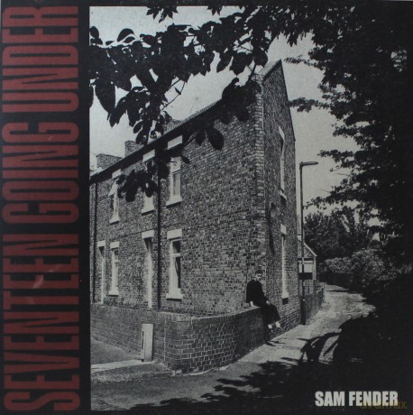 Sam Fender: Seventeen Going Under [Winyl]