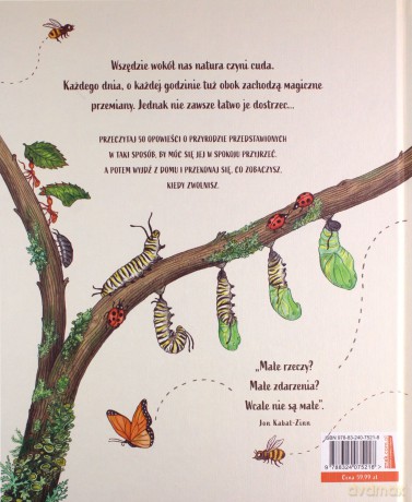 Slow Down. Zwolnij. 50 opowieści o przyrodzie, która wnosi spokój do zabieganego świata - Rachel Williams [KSIĄŻKA]