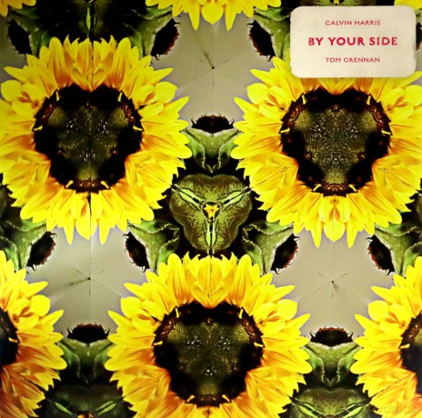 Calvin Harris feat. Tom Grenna: By Your Side [Winyl]