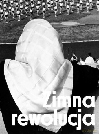 Zimna rewolucja [KSIĄŻKA]
