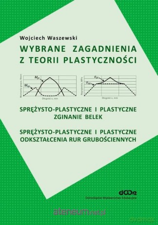 Wybrane zagadnienia z teorii plastyczności - Wojciech Waszewski [KSIĄŻKA]
