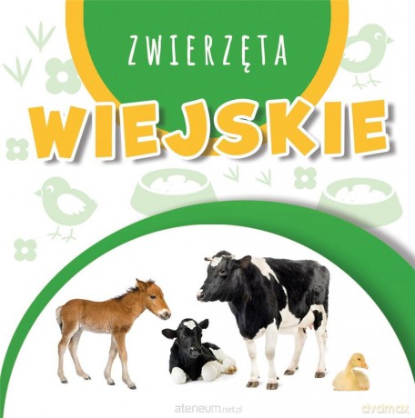 Wstęgi kartonowe. Zwierzęta wiejskie [KSIĄŻKA]