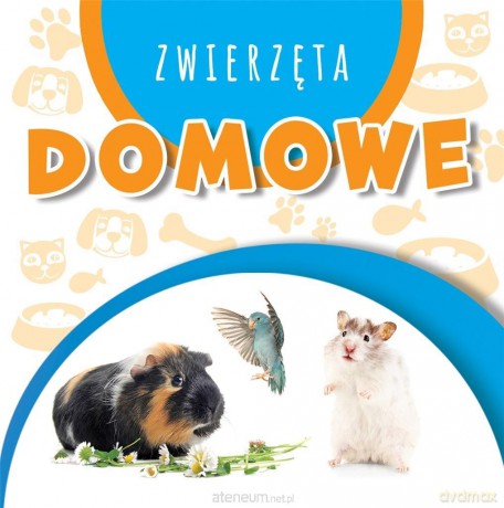 Wstęgi kartonowe. Zwierzęta domowe [KSIĄŻKA]