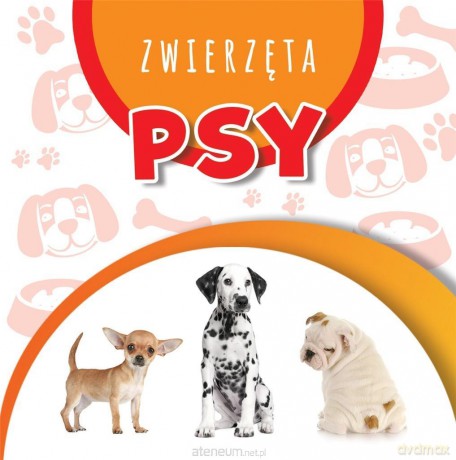 Wstęgi kartonowe. Psy [KSIĄŻKA]