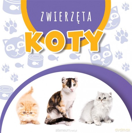 Wstęgi kartonowe. Koty [KSIĄŻKA]