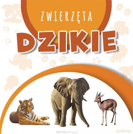 Wstęgi kartonowe. Dziekie Zwierzęta [KSIĄŻKA]