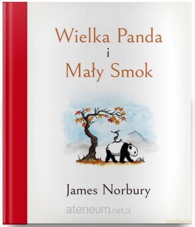 Wielka Panda i Mały Smok - James Norbury [KSIĄŻKA]