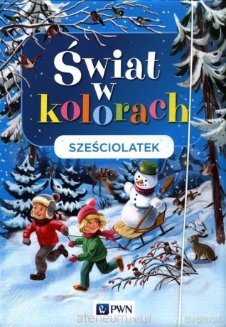 Świat w kolorach. Sześciolatek. Teczka [KSIĄŻKA]
