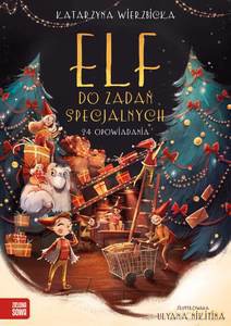 Elf do zadań specjalnych - Katarzyna Wierzbicka [KSIĄŻKA]