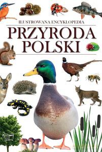 Ilustrowana encyklopedia. Przyroda Polski [KSIĄŻKA]