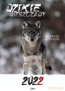 Kalendarz 2022 Dzikie Bieszczady WILK - Matysiak Mateusz [KALENDARZ]