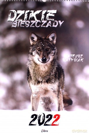 Kalendarz 2022 Dzikie Bieszczady WILK - Matysiak Mateusz [KALENDARZ]